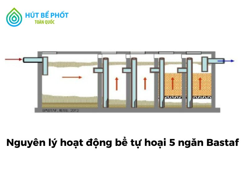 bể tự hoại 5 ngăn