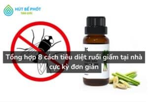 cách tiêu diệt ruồi giấm