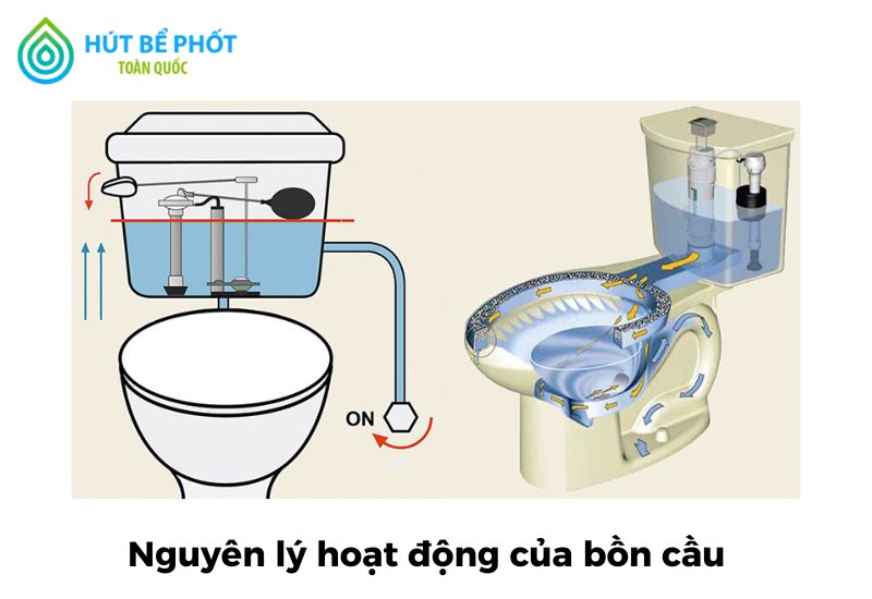 Cấu tạo bồn cầu