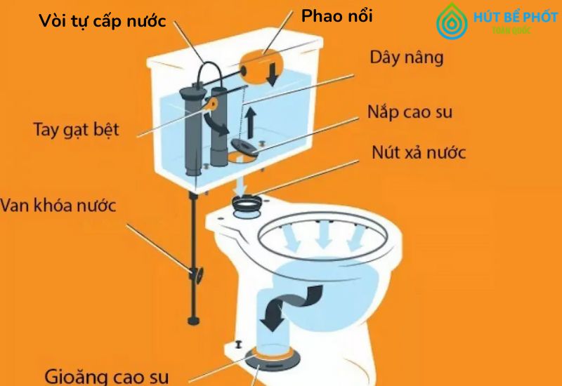 Cấu tạo bồn cầu